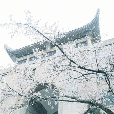 香港故宫文化博物馆首办“中国文物研究培训计划”